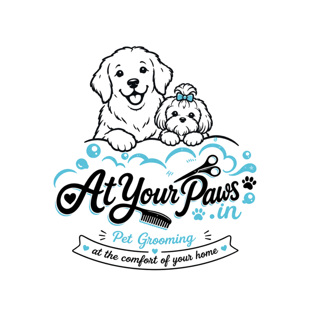 final logo transparent bg